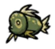 Fish tacos, that great meal of the baja peninsula, and a taste of summer. Ocean Fishes Don T Starve Wiki Fandom