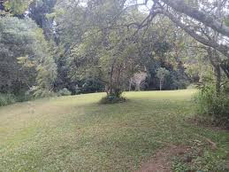 Malanda Stream Private Camping ...