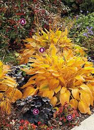 Spring, beginning of summer, fall. Low Maintenance Fall Plant Combo Garden Gate