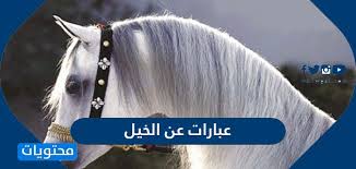 عبارات عن الخيل جميلة ومميزة شعر عن ميزات الخيل العربي الاصيل موقع محتويات