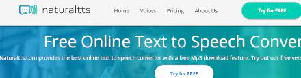 To translate text into speech, you need to write the necessary text fragment and press the button, then the service will do everything itself. 21 Best Text To Speech Software 2021 Free Paid Online Tts