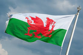 Sat 13 feb 2021 17.09 gmt first published on sat 13 feb 2021 15.45 gmt. Wales Vs Scotland Live Stream Saksikan Enam Negara Rugby Online Secara Gratis Berita 2021