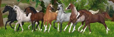 We did not find results for: Star Stable S Tweet Hey Starfam Here S A Peek Of All Of Our Awesomearabians Color Variations Which One Has Caught Your Eye They Re Coming Next Wednesday Let S Show Some Hype In