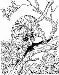 Large Coloring Books For Adults Lovely 20 Best Big Cat Coloring Pages Images On Pinterest In 2020 Cat Coloring Page Detailed Coloring Pages Coloring Pages