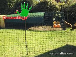 Chicken wire, also called poultry mesh or rabbit fence, is a kind of light hexagonal wire netting. Some Of The Best Uses Of Chicken Wire In Agriculture Hortomallas Supporting Your Crops
