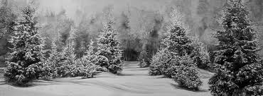 Bildergebnis für Hans Op de Beeck