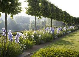 The Garden Of Temple Guiting Cotswold Garden Design Tuin En Landschap Tuin Achtertuin Planten
