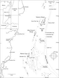 Without living coral reefs, flooding damage around the world would double, a cost increase of $4 billion annually. The Role Of Sponges In The Mesoamerican Barrier Reef Ecosystem Belize Sciencedirect