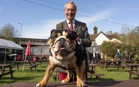 On the local elections trail with Nigel Farage: 'I have a 45 pc chance of  becoming PM'