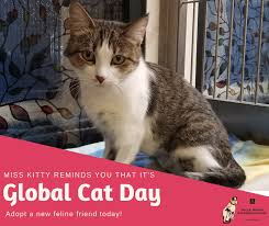 Global cat day + the international cat show. Today Is Global Cat Day A Day To Remind Mary S Roberts Pet Adoption Center Facebook