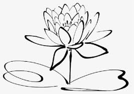 See the best black and white flowers wallpapers hd collection. Free Lotus Flower Black And White Clip Art With No Background Clipartkey