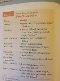 D72084170ea13bbc67aed0612029e1c9 Jpg 750 1 000 Pixels Occupational Therapy Physical Therapy School Occupational Therapy Activities