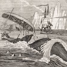 Sea shanties were work songs sung on ships during the age of sail. Dkvf15 Hyvl Dm