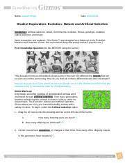 Natural selection gizmo answer key activity b. Evolutionnaturalartificialse Name Aayush Singh Date Student Exploration Evolution Natural And Artificial Selection Vocabulary Artificial Selection Course Hero