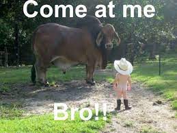 Come At Me Bro Failure