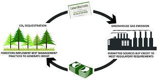 The cce works like the new york stock exchange or other stock markets in that you must register your business and pay an annual participation fee. Blockchain Enabled Carbon Credit Markets By Robert Greenfield Iv Medium
