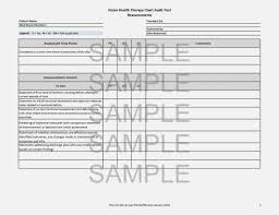 18 Chart Auditing Tools Ceriunicaasl Medical Chart Audit