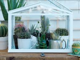 Ikea Socker Greenhouse Zimmergewachshaus Selbstgebautes Gewachshaus Und Ikea Gewachshaus