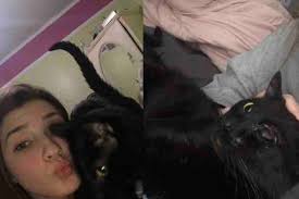 Fundraiser for Lisa Staib by Alyssa Staib : Keep Casper Home!!