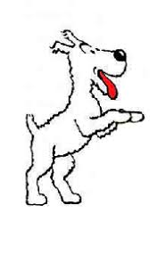 Snowy Tintin Wiki Cute Dog Drawing French Cartoons Tintin