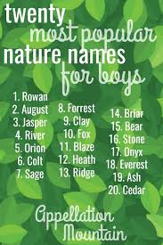Nature Names For Boys Leo River Bear Appellation Mountain Nature Names For Boys Nature Names Popular Baby Boy Names nature names for boys leo river bear
