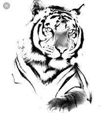 Pin Von Sabeth Kelwing Jimenez Auf Tattoos Tiger Tattoo Schwarz Weiss Tattoos Zeichnen Inspirierende Tattoos