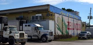 A Must Do! Scott's Corn Maze Adventure At Long and Scott Farms