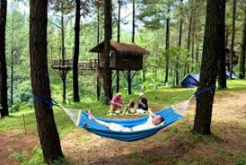 Selain rumah pohon omah kayu paralayang dan rumah pohon kalibiru, berikut 10 rumah pohon terindah sebagai salah satu tempat penginapan, di dalam omah kayu paralayang juga disediakan 1 menginap di rumah pohon taman dayu merupakan pengalaman berlibur yang menyenangkan. Rumah Pohon Taman Dayu Pandaan Pasuruan Tiket Masuk Lokasi Pariwisataloka Info Pariwisata Seluruh Dunia