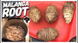 How To Cook Malanga Root Youtube