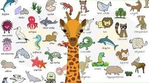 Everybody loves animals, keeping them as pets, seeing them at the zoo or visiting a farm… learn animal names with different types of animals and a useful list of animals with pictures. Animal Names Types Of Animals List Of Animals Animal Pictures 7esl