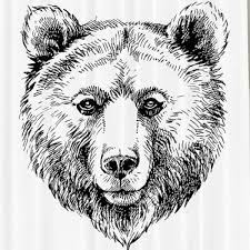 Draw a long curbed line across your page for the bear's back. Black Bear Face Drawing Peepsburgh
