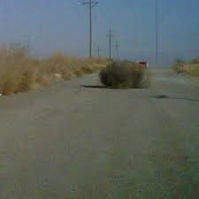 Security Check Required Lubbock Texas Texas Texans Only In Texas
