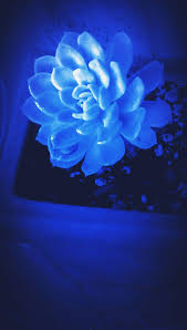 Dark Blue Aesthetic Wallpapers Wallpaper Cave 380 502 prosmotra 380 tys. dark blue aesthetic wallpapers