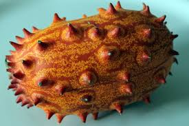 The natal plum is a small tree or shrub native to south africa. Cucumis Metuliferus Wikipedia