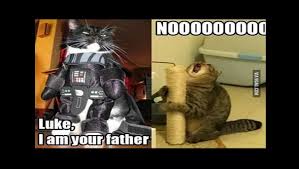 Historia, frases regalos y recetas para sorprender a papá en su día. 20 Memes Y Gif Divertidos Para Celebrar El Dia Del Padre Nuevo Movil