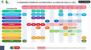 Esta estrategia de vacunación frente al y la llegada de la vacuna de janssen o un aumento o reducción de las dosis volverá a trastocar el calendario de vacunación ideado en un primer momento. Extremadura Salud Vacunaciones