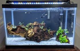 Product Review Nicrew Led Aquarium Lights Odin Aquatics