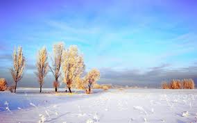 Winter Landschap Wallpaper Achtergrond Wallpapers Achtergronden Wallpaper Achtergronden Landschap