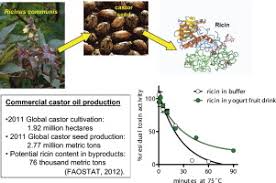 Image result for Ricin