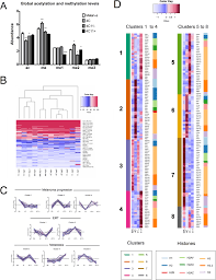 546 n.eastern ave., suite 140: Gene Co Expression And Histone Modification Signatures Are Associated With Melanoma Progression Epithelial To Mesenchymal Transition And Metastasis Clinical Epigenetics Full Text