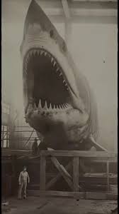 Nasa's Giant Cage That Caught A Megalodon | TikTok