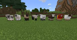 ﻿can you do like the sheep in minecraft earth? Genoa Ae Addon Minecraft Pe Mods Addons