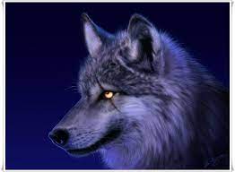 An animated retelling set to prokofiev's suite. 44 Animated Wolf Desktop Wallpaper On Wallpapersafari