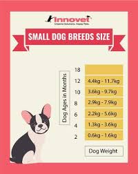 Puppy Growth Chart By Month Breed Size With Faq All You