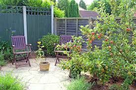 Welcome to the gardener's paradise. 10 Tips For Growing Fruit Trees At Home