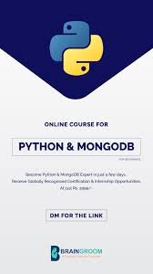 Python Mongodb Course Online Learning Student Jobs Data Science