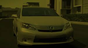 Image result for Golden Almond 2010 HS