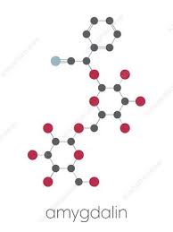 Laetrile is often wrongly called amygdalin or vitamin b17. Amygdalin Skeletal Formula Illustration Stock Image F030 4894 Science Photo Library