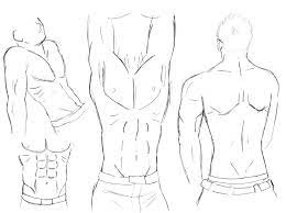 Pin On Draw Human Torso