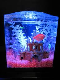 This Kit Looks Great With All Glofish Decor Glofish Decor Fish Aquarium Tetra Glofish Fish Tank Pets